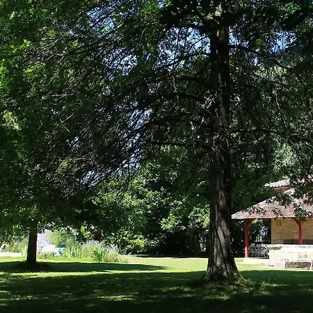 La Chartreuse Et Son Orangerie *