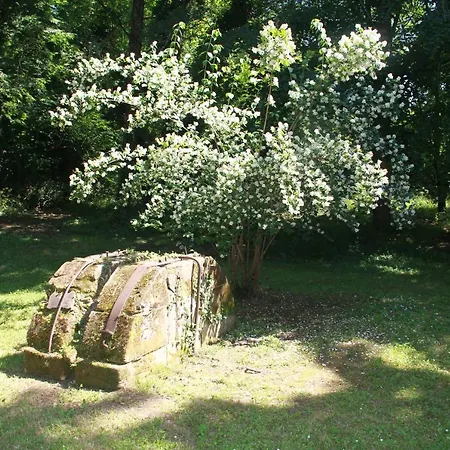 Holiday home La Chartreuse Maison D Artistes *