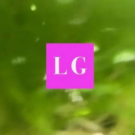 Σπίτι διακοπών La Chartreuse Et Son Orangerie *