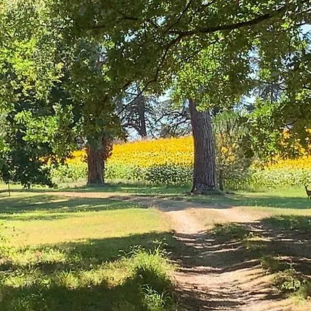 La Chartreuse Et Son Orangerie Σπίτι διακοπών Μπερζεράκ