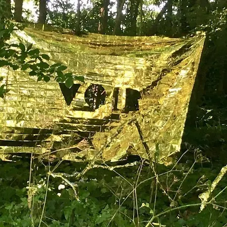 La Chartreuse Maison D Artistes *