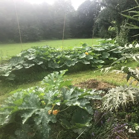 La Chartreuse Et Son Orangerie Σπίτι διακοπών *