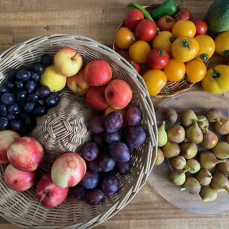 La Chartreuse Et Son Orangerie Σπίτι διακοπών *