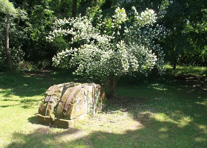 بيت للعطل La Chartreuse Et Son Orangerie *