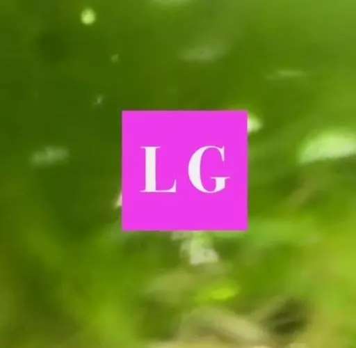 بيت للعطل La Chartreuse Et Son Orangerie *