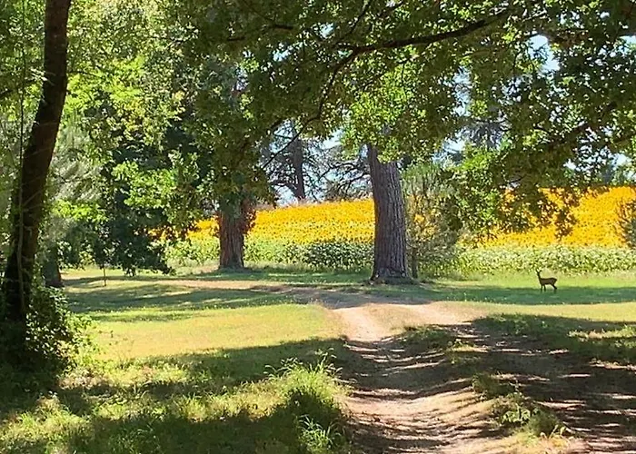 La Chartreuse Et Son Orangerie بيت للعطل برجراك