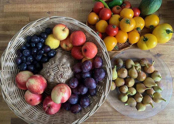 La Chartreuse Et Son Orangerie بيت للعطل *